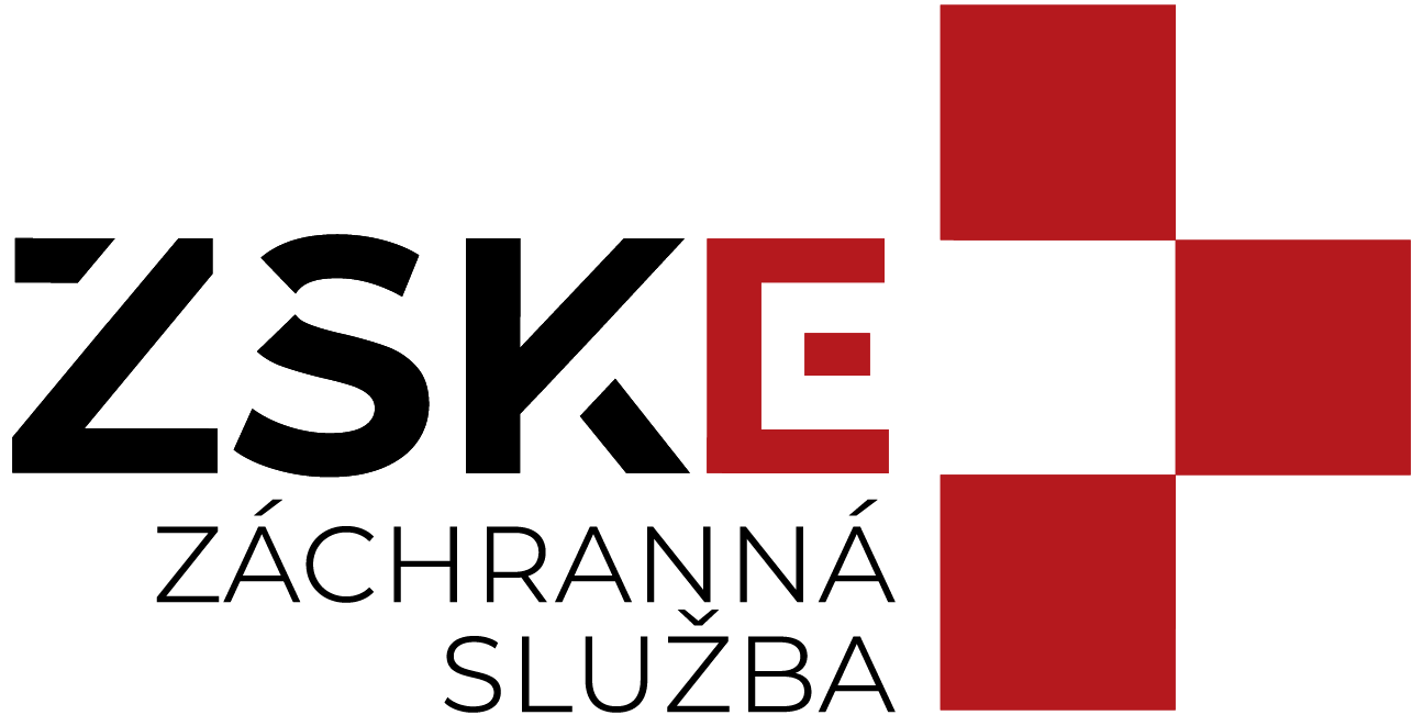 Logo ZSKE